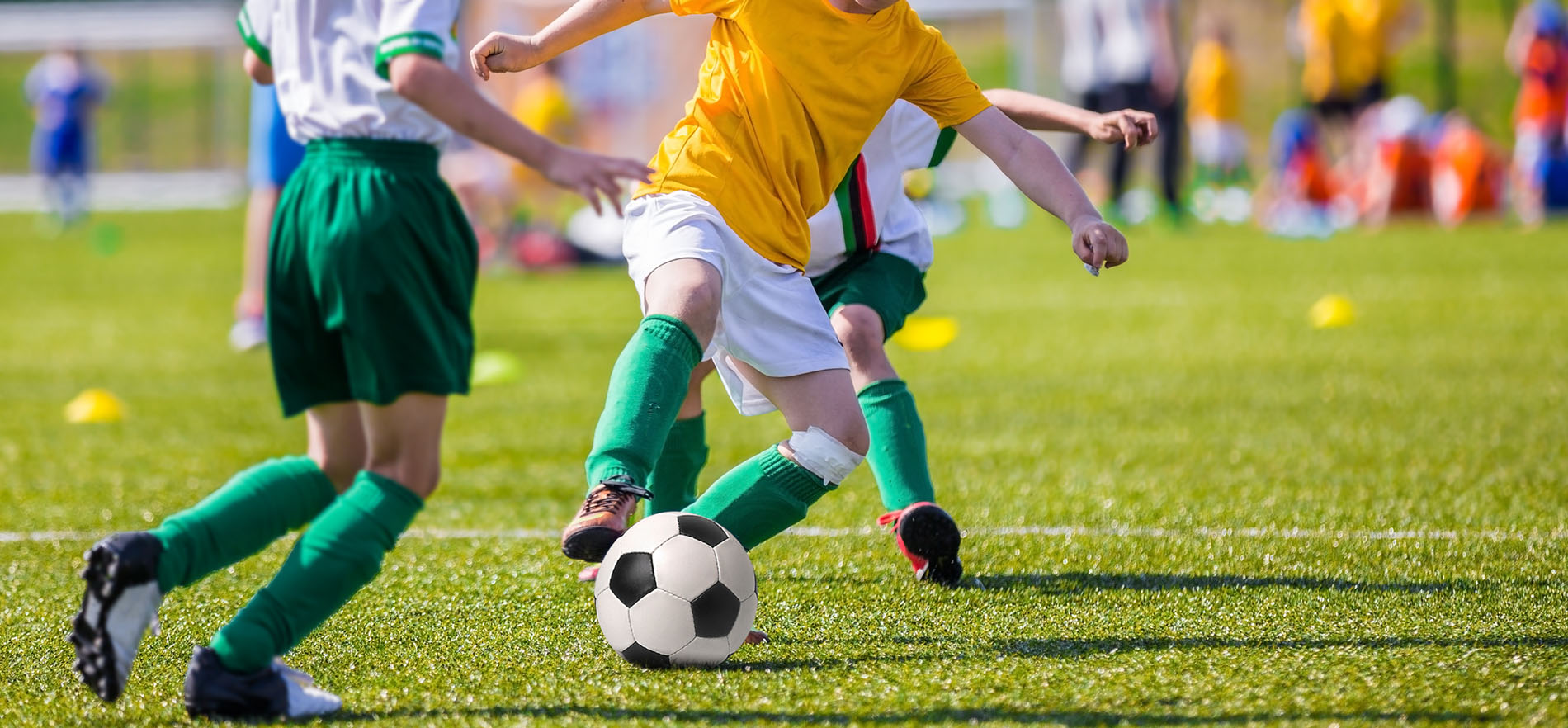 Football Academy